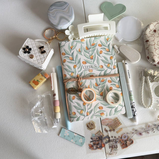 🍊 Citrus Aesthetic Stationery Set