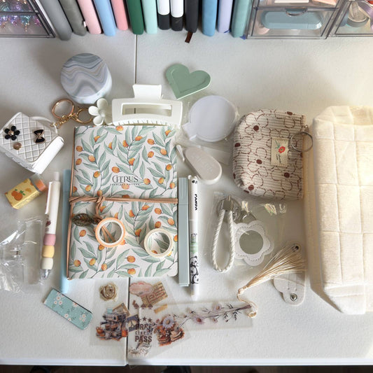 🍊 Citrus Aesthetic Stationery Set